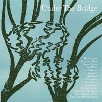 Produktbild: Under The Bridge