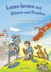 Bild vom Artikel Lesen lernen mit Rittern und Drachen vom Autor Werner Färber