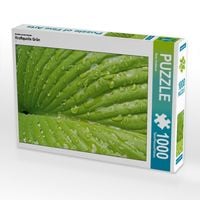 Produktbild: CALVENDO Puzzle Ein Motiv aus dem Kalender Kraftquelle Gr&uuml;n | 1000 Teile Lege-Gr&ouml;&szlig;e 64x48cm Foto-Puzzle f&uuml;r gl&uuml;ckliche Stunden