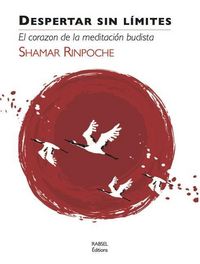 Produktbild: Despertar Sin Limites