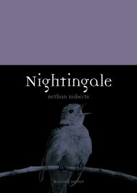 Produktbild: Nightingale