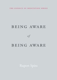 Produktbild: Being Aware of Being Aware