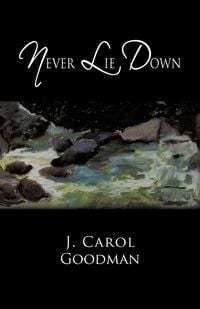 Produktbild: Never Lie Down
