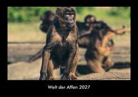 Produktbild: Welt der Affen 2027 Fotokalender DIN A3