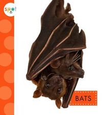 Produktbild: Bats