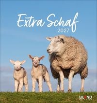Produktbild Extra Schaf Postkartenkalender 2027