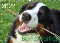 Produktbild: Tierisch nahe Berner-Portr&auml;ts (Wandkalender 2022 DIN A3 quer)