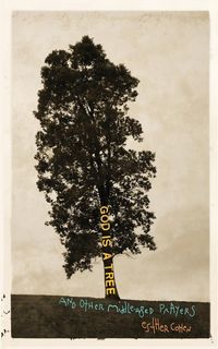 Produktbild: God Is a Tree