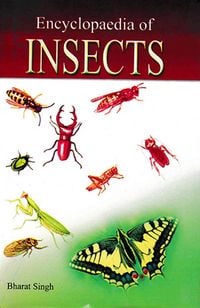 Produktbild: Encyclopaedia of Insects