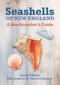 Produktbild: Seashells of New England