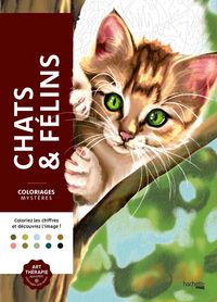 Produktbild: Chats et f&eacute;lins