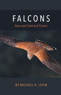 Produktbild: Falcons
