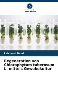 Produktbild: Regeneration von Chlorophytum tuberosum L. mittels Gewebekultur