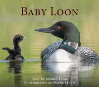 Produktbild: Baby Loon