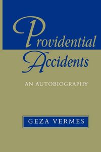 Produktbild: Providential Accidents