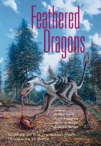 Produktbild: Feathered Dragons