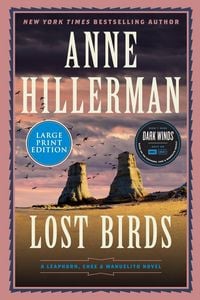 Produktbild: Lost Birds