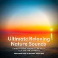 Produktbild: Ultimate Relaxing Nature Sounds for Meditation, Stress Relief, Study, Yoga, Focus & Deep Sleep