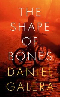 Bild vom Artikel The Shape of Bones vom Autor Daniel Galera