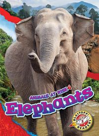 Produktbild: Elephants