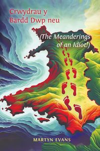 Produktbild: Crwydrau y Bardd Dwp neu/or The meanderings of an Idiot!