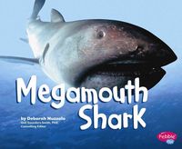 Produktbild: Megamouth Shark