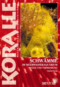 Bild vom Artikel Schwämme im Meerwasseraquarium vom Autor Daniel Knop