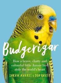 Produktbild: Budgerigar