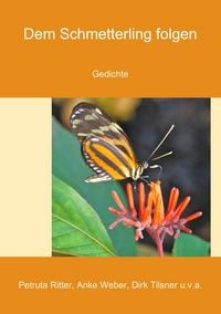 Produktbild: Dem Schmetterling folgen