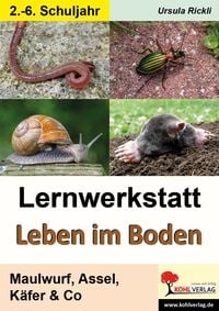 Produktbild: Lernwerkstatt Leben im Boden