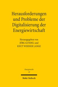 Produktbild: Herausforderungen und Probleme der Digitalisierung der Energiewirtschaft