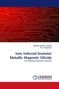 Produktbild: Ions Induced Granular Metallic Magnetic Silicide