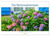 Produktbild: Ein Hortensientraum (Wandkalender 2026 DIN A2 quer), CALVENDO Monatskalender