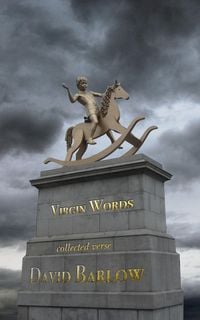 Produktbild: Virgin Words