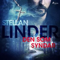 Produktbild: Den som syndar