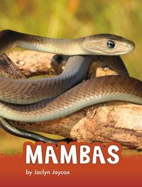 Produktbild: Mambas