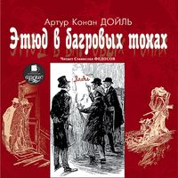 Produktbild: Etyud v bagrovyh tonah