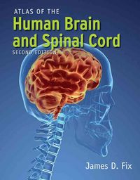 Produktbild: Atlas Of The Human Brain &-2e