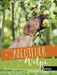 Produktbild: Abenteuer Welpe
