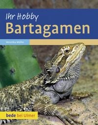 Produktbild: Bartagamen