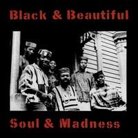 Produktbild: Black And Beautiful Soul And Madness