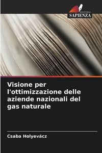 Produktbild: Visione per l'ottimizzazione delle aziende nazionali del gas naturale