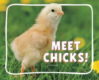Produktbild: Meet Chicks!
