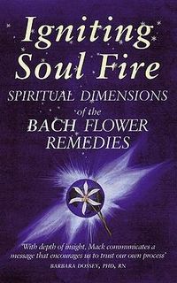 Produktbild: Igniting Soul Fire