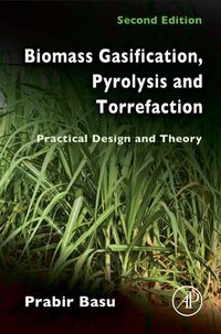 Produktbild: Biomass Gasification, Pyrolysis and Torrefaction