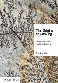 Produktbild: The Origins of Cooking