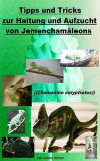 Produktbild: Tipps und Tricks zur Haltung und Aufzucht vom Jemencham&auml;leon