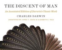 Produktbild: The Descent of Man