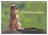 Produktbild: Erdm&auml;nnchen (Tischkalender 2026 DIN A5 quer), CALVENDO Monatskalender