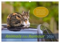 Produktbild: Animals like humour (Wall Calendar 2026 DIN A2 landscape), CALVENDO 12 Month Wall Calendar